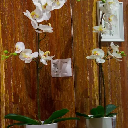 Centrico Burgas Termal Apartment Ourense