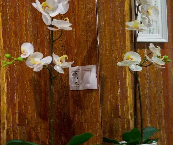 Centrico Burgas Termal Apartmán Ourense